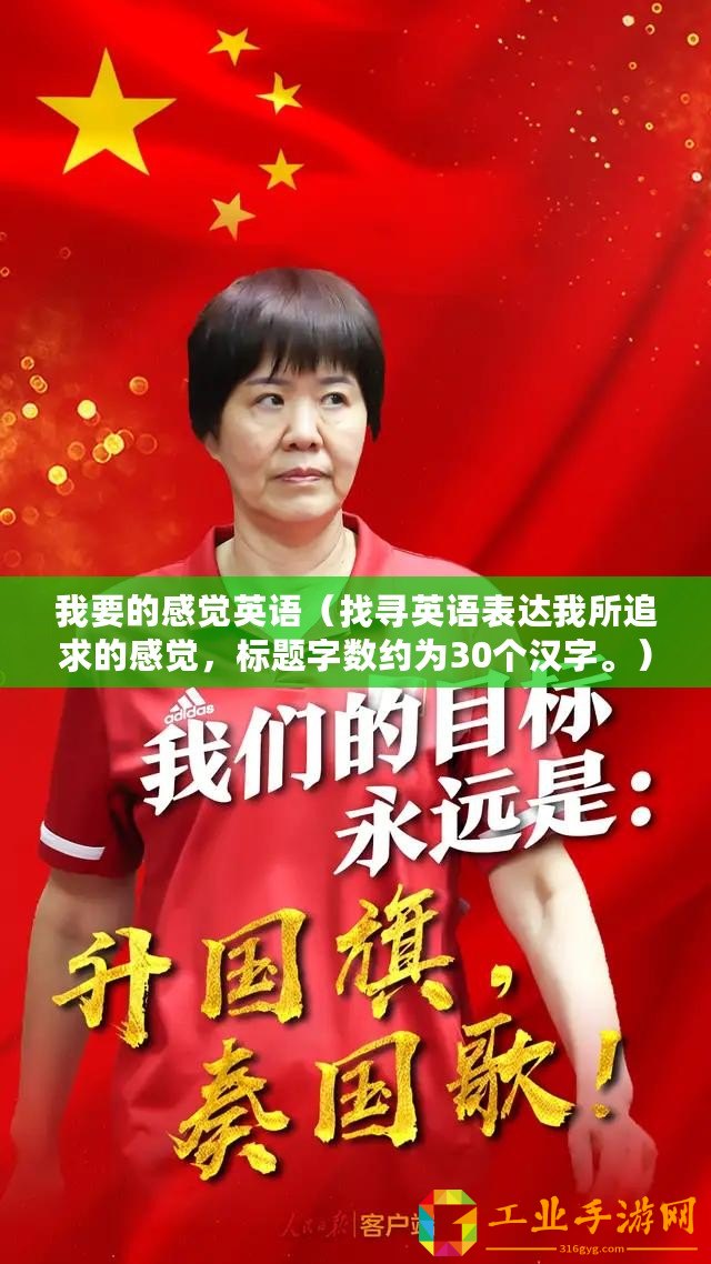 我要的感覺英語（找尋英語表達(dá)我所追求的感覺，標(biāo)題字?jǐn)?shù)約為30個漢字。）