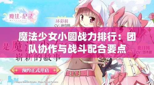 魔法少女小圓戰(zhàn)力排行：團隊協(xié)作與戰(zhàn)斗配合要點