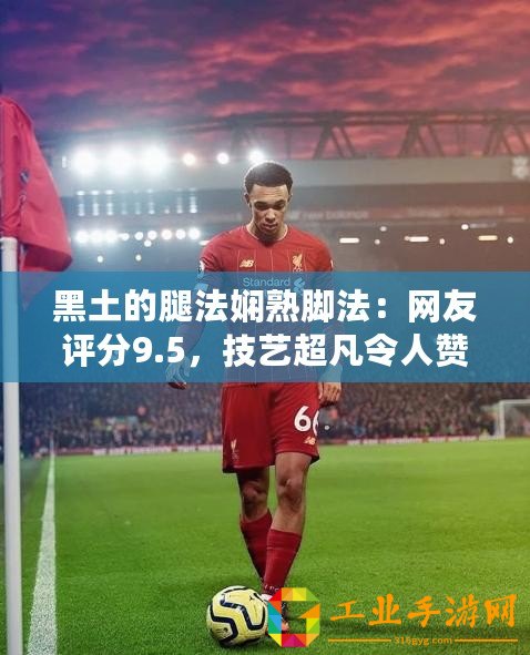 黑土的腿法嫻熟腳法：網(wǎng)友評分9.5，技藝超凡令人贊嘆