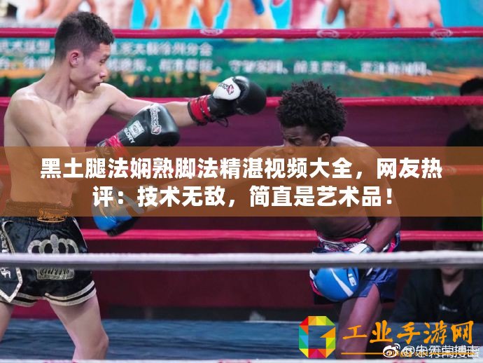 黑土腿法嫻熟腳法精湛視頻大全，網(wǎng)友熱評：技術(shù)無敵，簡直是藝術(shù)品！