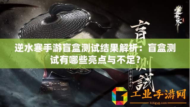 逆水寒手游盲盒測(cè)試結(jié)果解析：盲盒測(cè)試有哪些亮點(diǎn)與不足？