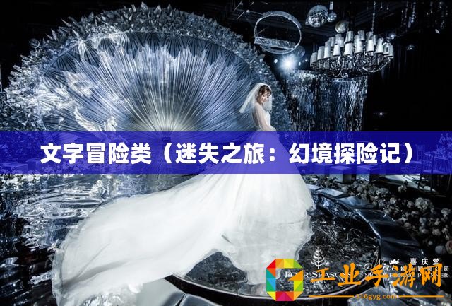 文字冒險(xiǎn)類（迷失之旅：幻境探險(xiǎn)記）
