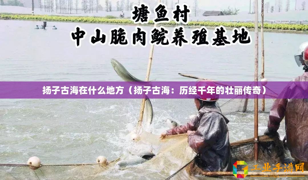 揚子古海在什么地方（揚子古海：歷經(jīng)千年的壯麗傳奇）