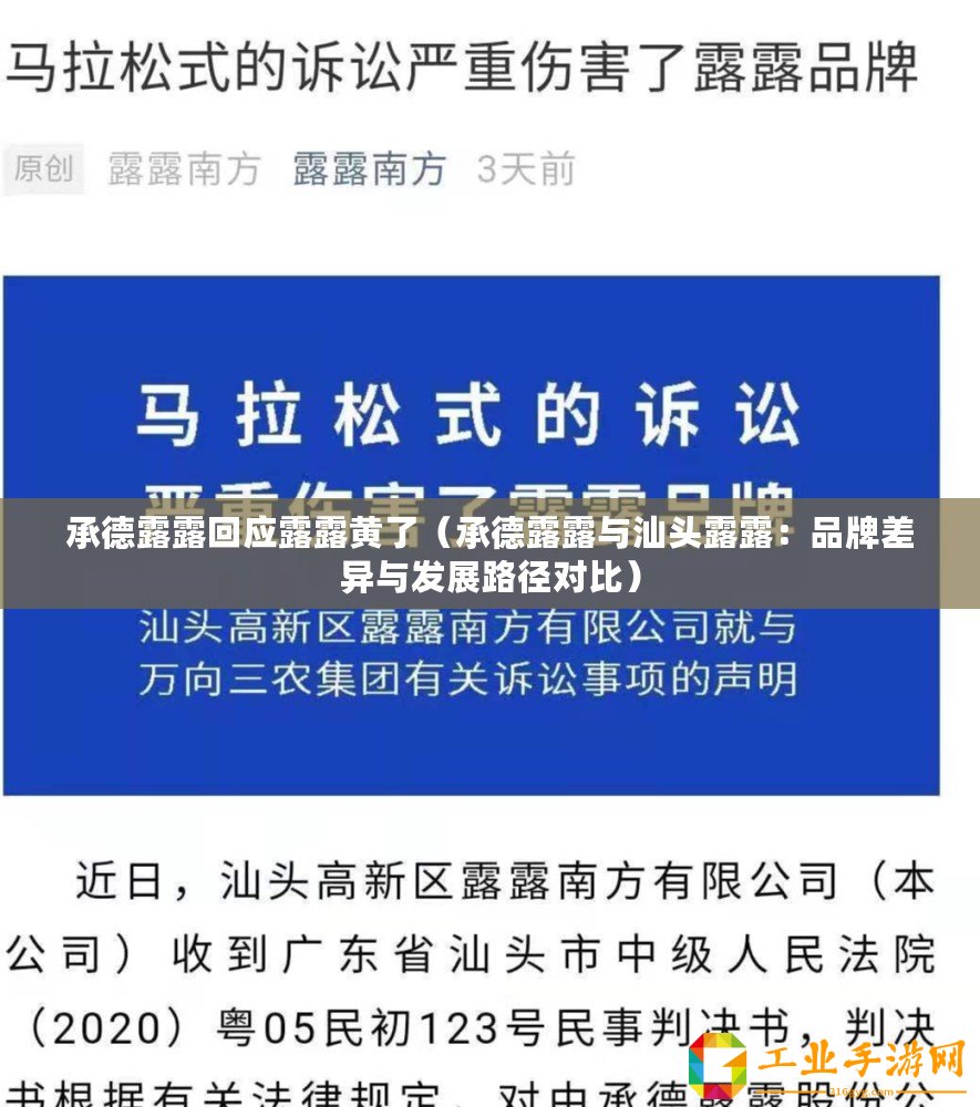 承德露露回應(yīng)露露黃了（承德露露與汕頭露露：品牌差異與發(fā)展路徑對(duì)比）