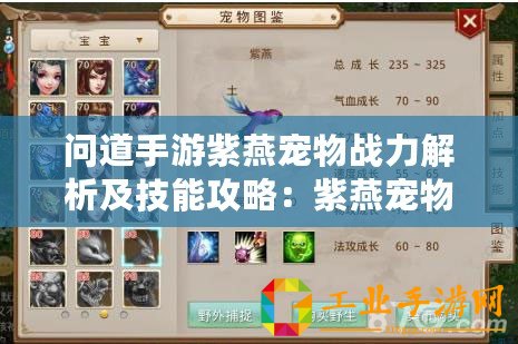 問道手游紫燕寵物戰(zhàn)力解析及技能攻略：紫燕寵物技能介紹與實戰(zhàn)應(yīng)用指南