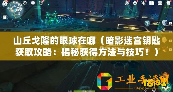 山丘戈隆的眼球在哪（暗影迷宮鑰匙獲取攻略：揭秘獲得方法與技巧?。?/>			</a>
		</figure>
		<div   id=