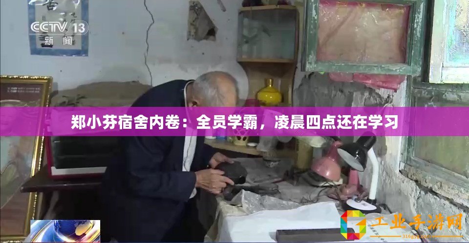 鄭小芬宿舍內(nèi)卷：全員學(xué)霸，凌晨四點(diǎn)還在學(xué)習(xí)