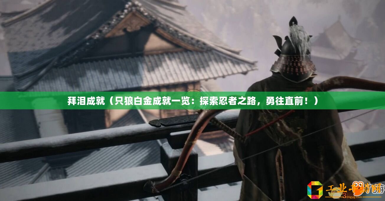 拜淚成就（只狼白金成就一覽：探索忍者之路，勇往直前！）