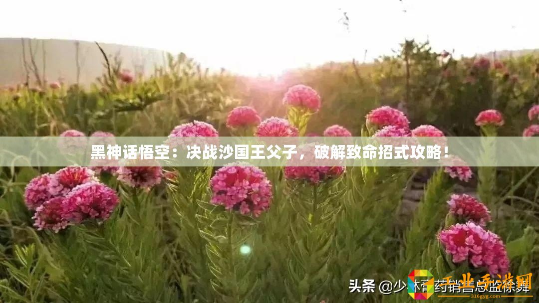 黑神話悟空：決戰(zhàn)沙國(guó)王父子，破解致命招式攻略！