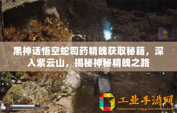黑神話悟空蛇司藥精魄獲取秘籍，深入紫云山，揭秘神秘精魄之路