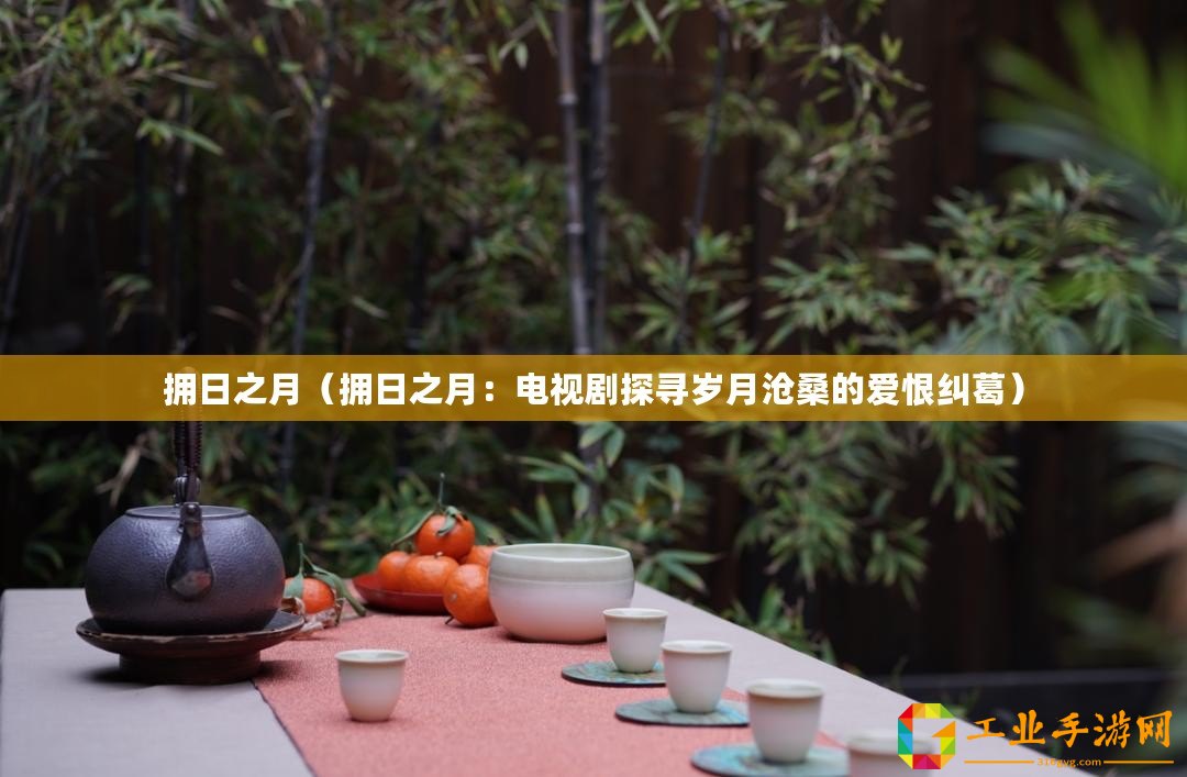 擁日之月（擁日之月：電視劇探尋歲月滄桑的愛(ài)恨糾葛）