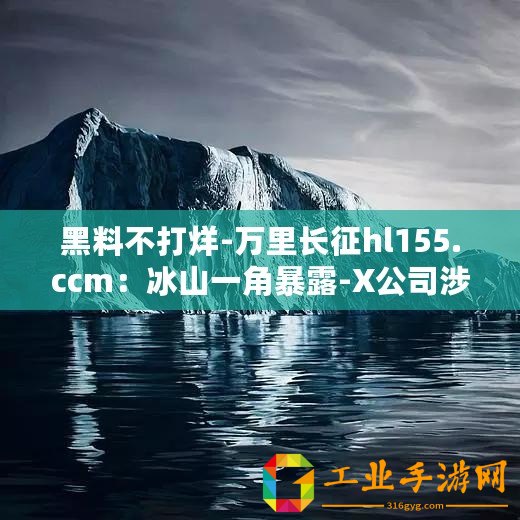 黑料不打烊-萬里長征hl155.ccm：冰山一角暴露-X公司涉嫌財務造假
