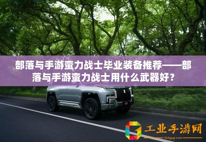 部落與手游蠻力戰(zhàn)士畢業(yè)裝備推薦——部落與手游蠻力戰(zhàn)士用什么武器好？