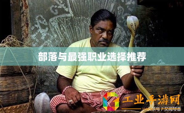 部落與最強(qiáng)職業(yè)選擇推薦