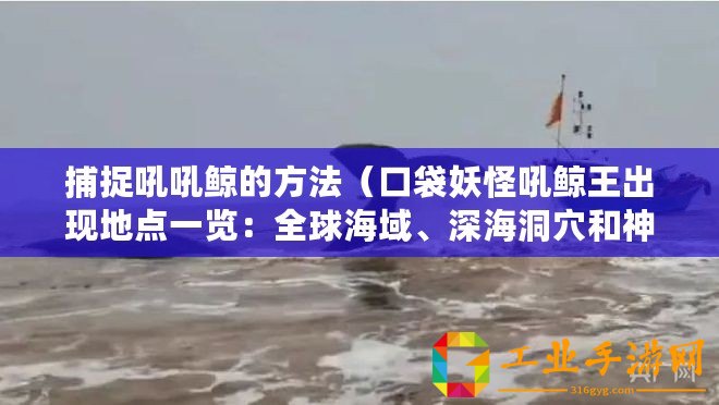 捕捉吼吼鯨的方法(口袋妖怪吼鯨王出現(xiàn)地點(diǎn)一覽:全球海域、深海洞穴和神秘的水下世界?。? title=