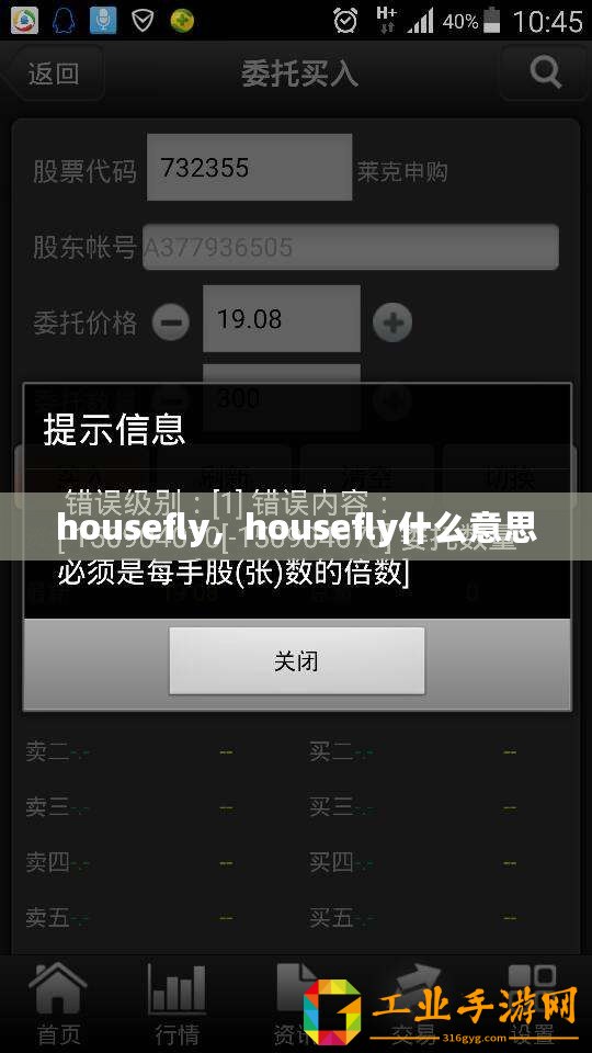 housefly，housefly什么意思