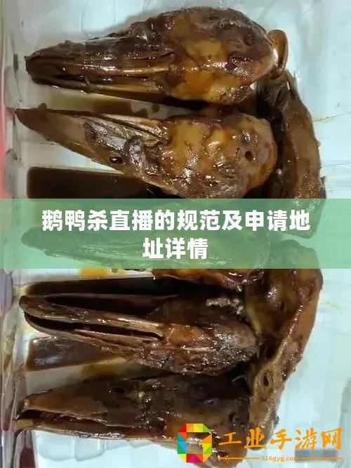 鵝鴨殺直播的規(guī)范及申請地址詳情
