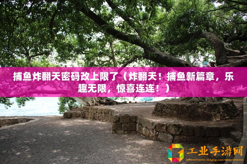 捕魚炸翻天密碼改上限了(炸翻天!捕魚新篇章,樂趣無限,驚喜連連?。? title=
