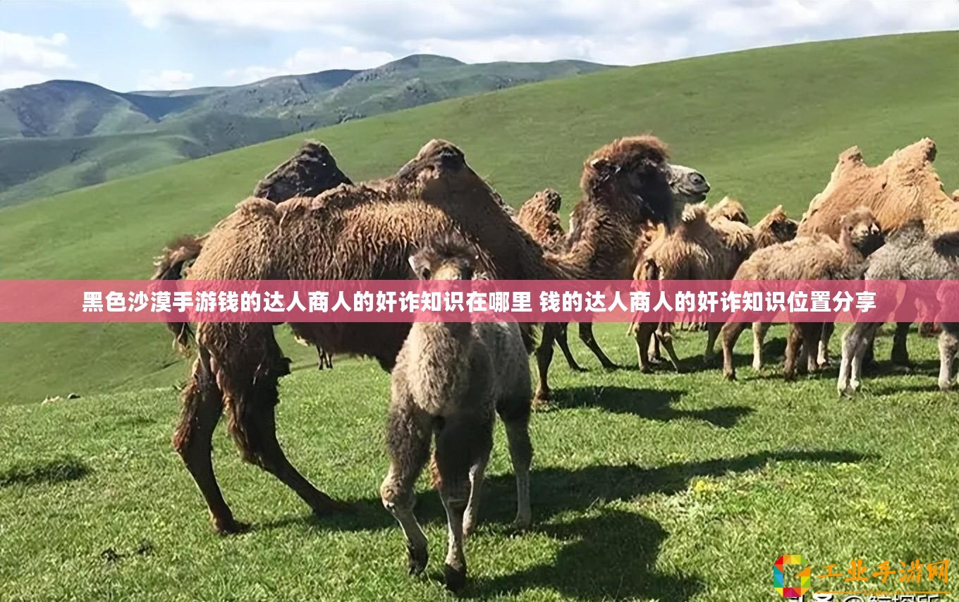 黑色沙漠手游錢的達(dá)人商人的奸詐知識在哪里 錢的達(dá)人商人的奸詐知識位置分享
