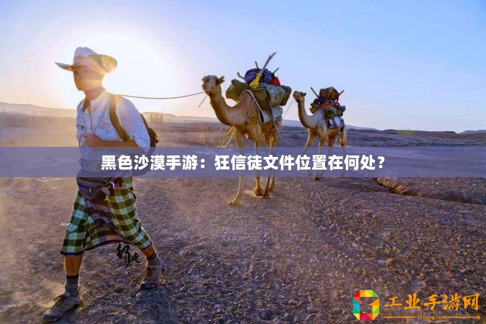 黑色沙漠手游：狂信徒文件位置在何處？