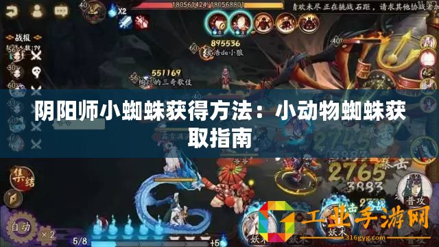 陰陽(yáng)師小蜘蛛獲得方法：小動(dòng)物蜘蛛獲取指南