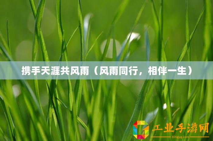 攜手天涯共風(fēng)雨（風(fēng)雨同行，相伴一生）