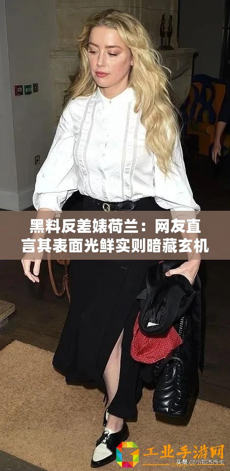 黑料反差婊荷蘭：網(wǎng)友直言其表面光鮮實(shí)則暗藏玄機(jī)，真相讓人震驚！