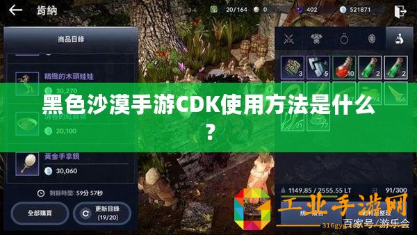黑色沙漠手游CDK使用方法是什么？