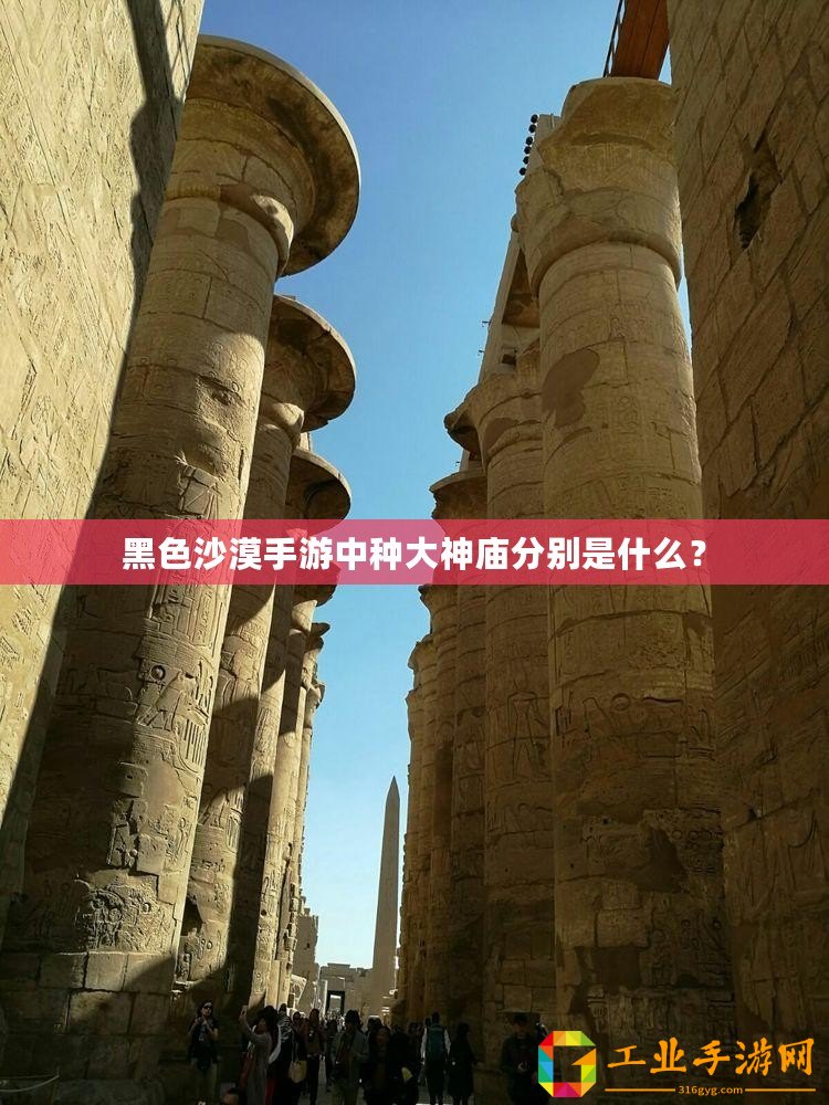 黑色沙漠手游中種大神廟分別是什么？