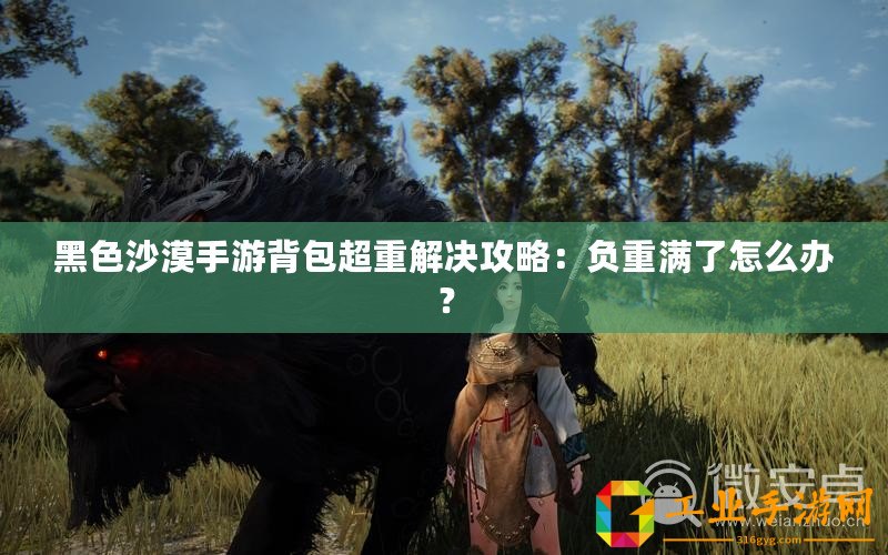 黑色沙漠手游背包超重解決攻略：負(fù)重滿了怎么辦？