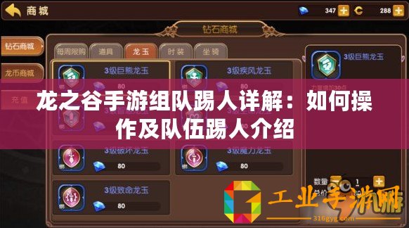 龍之谷手游組隊(duì)踢人詳解：如何操作及隊(duì)伍踢人介紹