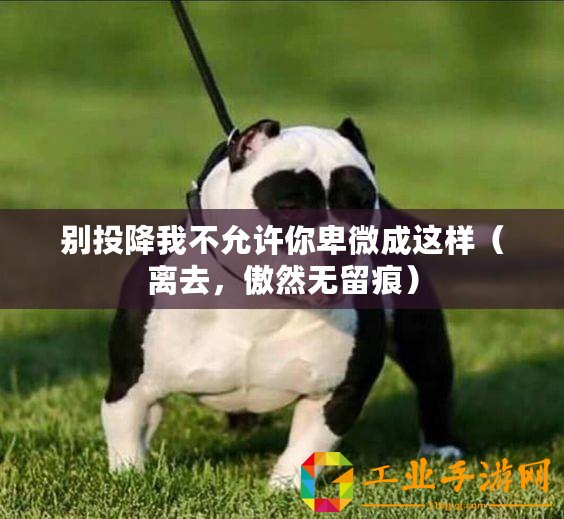 別投降我不允許你卑微成這樣（離去，傲然無(wú)留痕）