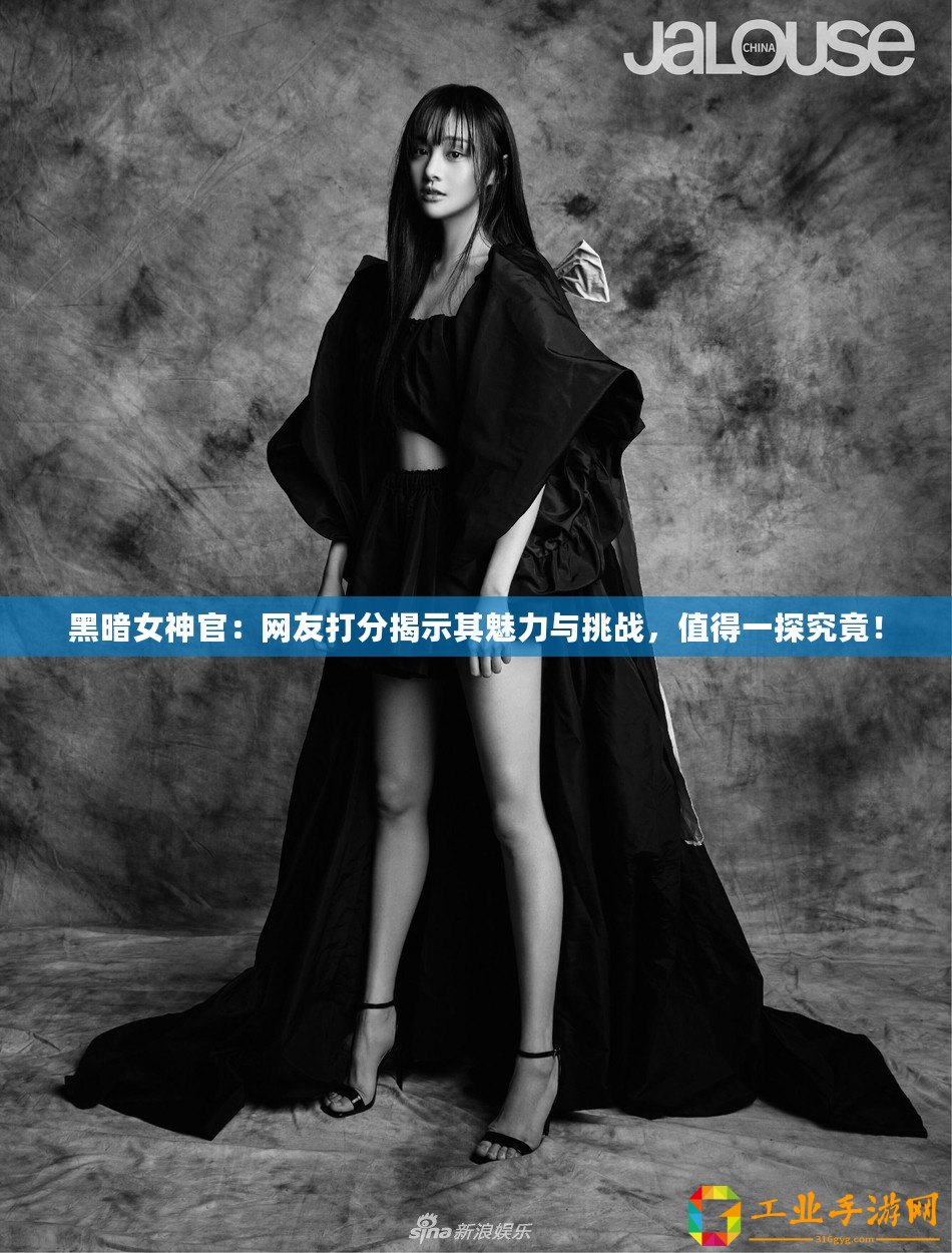 黑暗女神官：網(wǎng)友打分揭示其魅力與挑戰(zhàn)，值得一探究竟！