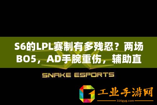 S6的LPL賽制有多殘忍？兩場BO5，AD手腕重傷，輔助直接退役
